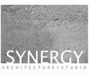 synergy logo