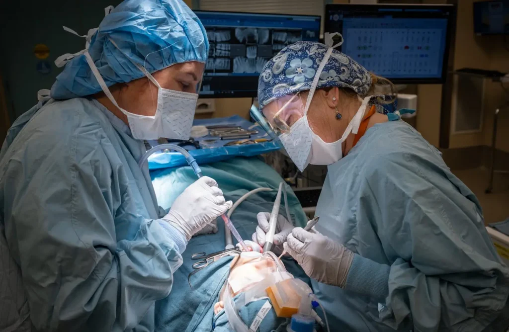 care team and patient